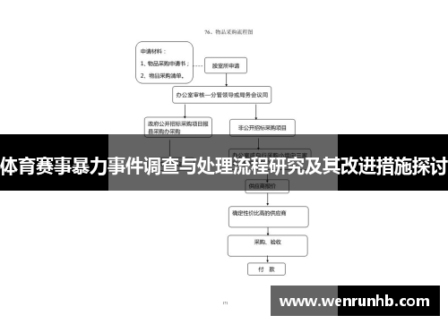 体育赛事暴力事件调查与处理流程研究及其改进措施探讨