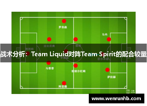 战术分析：Team Liquid对阵Team Spirit的配合较量